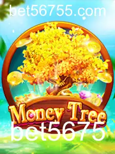 Explorando o Jogador de Sucesso: MoneyTree